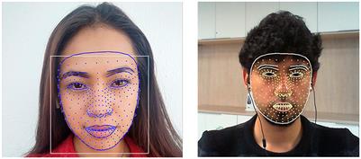 Multimodal AI techniques for pain detection: integrating facial gesture and paralanguage analysis